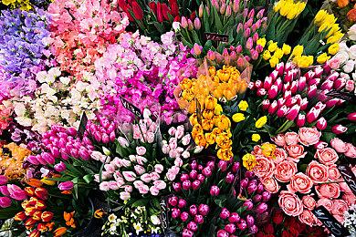 《潜行者2》2025年开发路线公布 追加更多有趣新内容